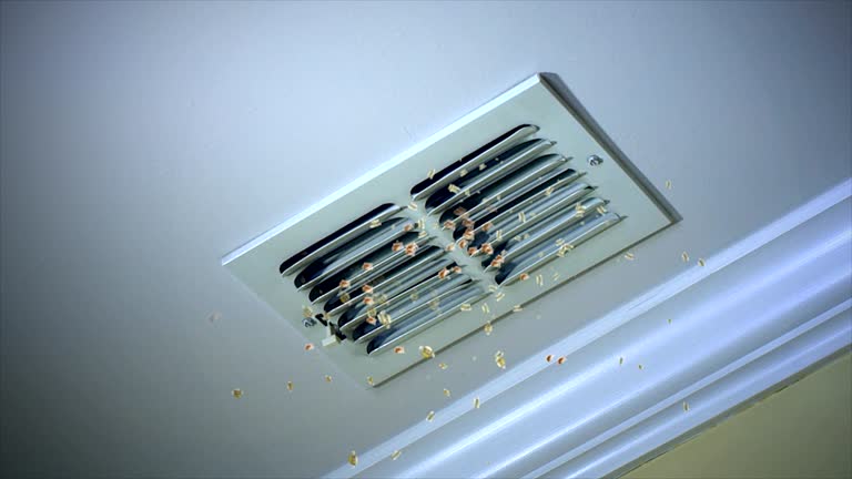 Best Affordable HVAC Duct Cleaning  in Santa Rosa, TX