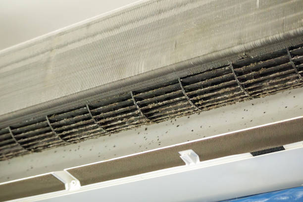 Best Local Air Duct Cleaning Services  in Santa Rosa, TX